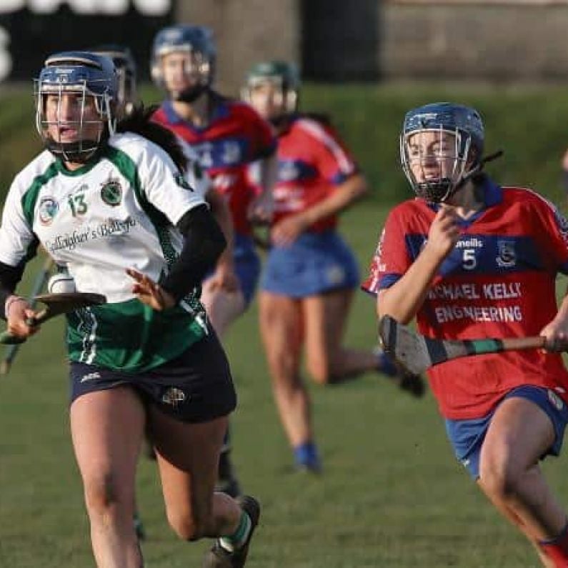 Sarsfields bid to make All Ireland Camogie Final again