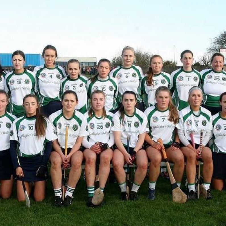 CAMOGIE Preview: Sarsfields Prepare For All-Ireland Senior Final In Croke Park