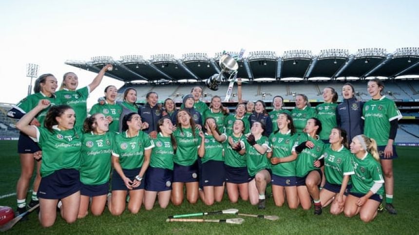 6 Sarsfields players named on AIB Club Camogie Team of the Year