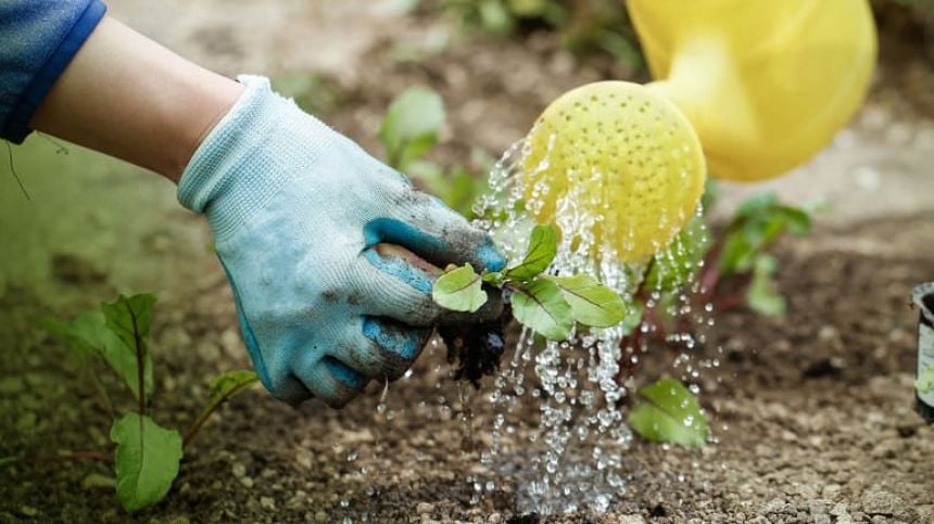 Irish Water issues appeal as four county areas at risk of reaching drought levels