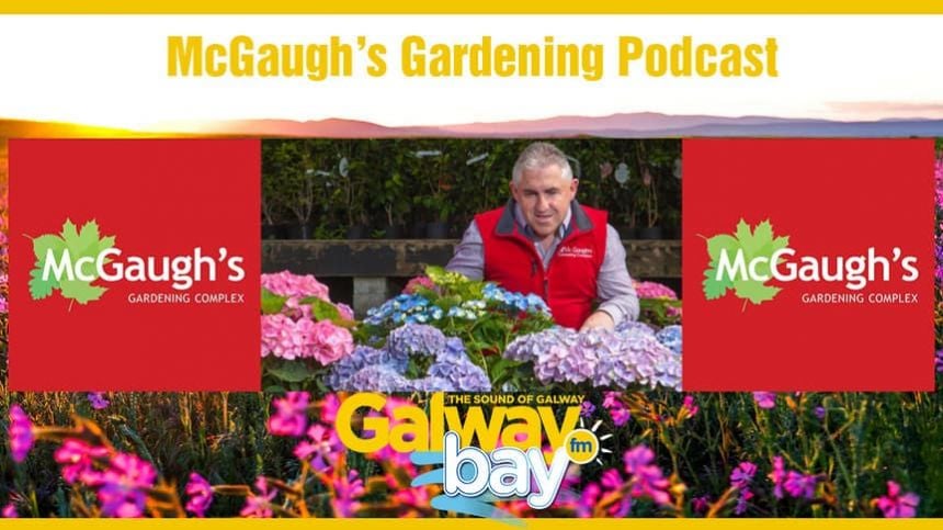 McGaughs Gardening Podcast