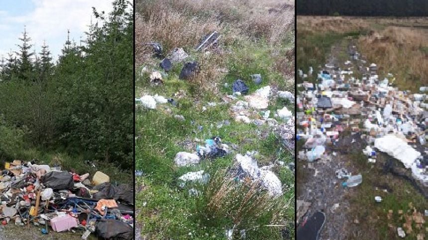 Calls for County Council to regulate bin services across Galway to tackle illegal dumping