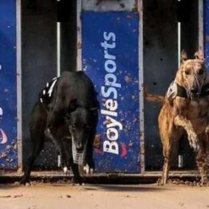 OTL's Boylesports Irish Greyhound Derby Round-Up