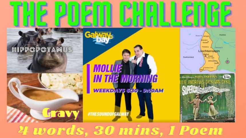 Mollie in the Morning - Poem Challenge #1