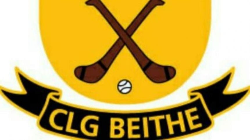 48 Week Suspension Proposed For Beagh's John Moylan Following Senior Hurling Relegation Involvement