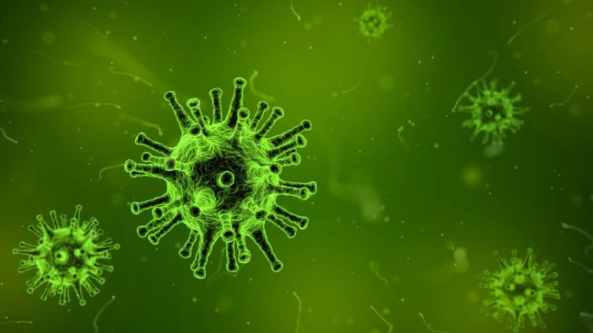 HSE issues public appeal as virus infection rates soar across West