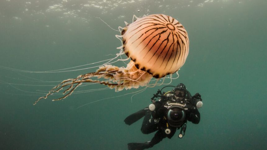 Awards for three Galway photographs in national competition