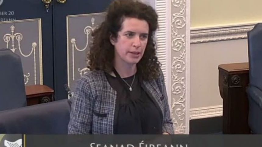 Watch: Seanad hears Ballinasloe ready to fight latest attempt to build waste transfer facility