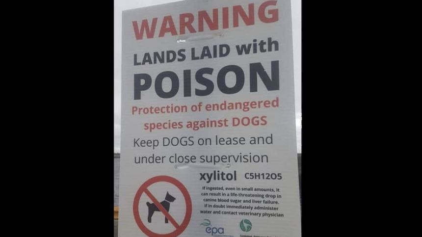 Environmental Protection Agency condemns fake poison warnings placed in city