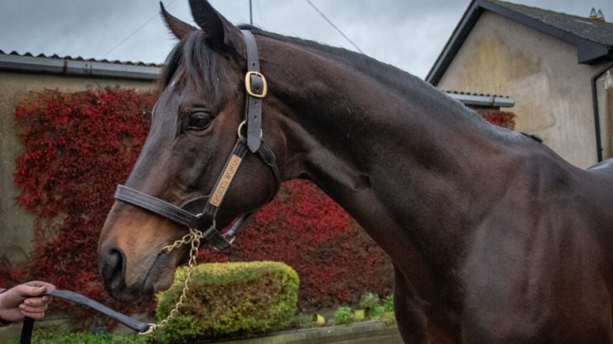 ITM Irish Stallion Trail goes virtual