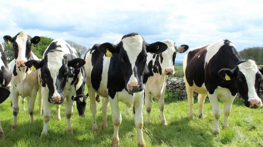 NUI Galway report finds Atlantic farmers unprepared for climate change