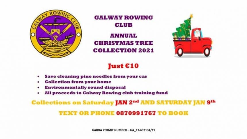 Galway Rowing Club Christmas Tree Fundraiser