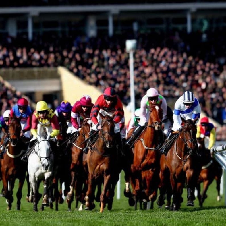 RACING: Cheltenham Festival - Day 1 Preview