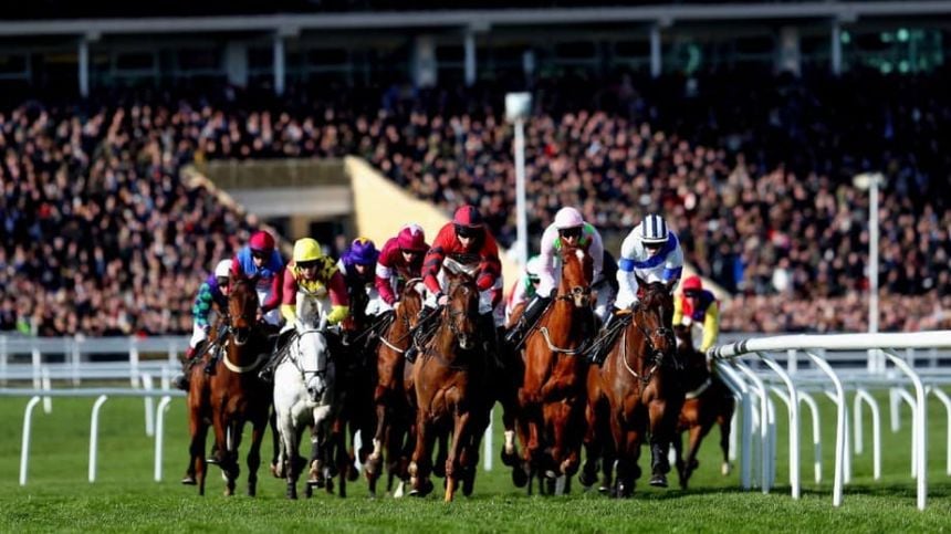 RACING: Cheltenham Festival - Day 1 Preview