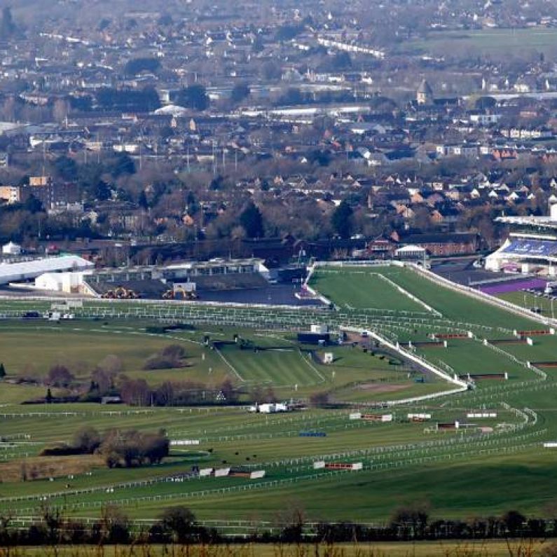 RACING: Cheltenham Festival - Day 2 Preview