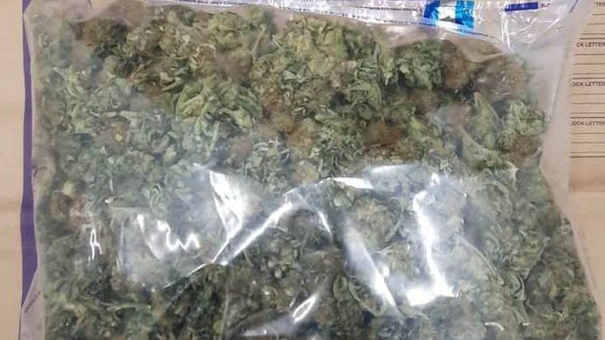 Gardai seize €40,000 worth of suspected cannabis plants and herb in Ardrahan