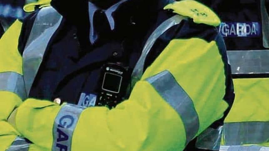 Garda appeal following fatal road crash at Briarhill junction