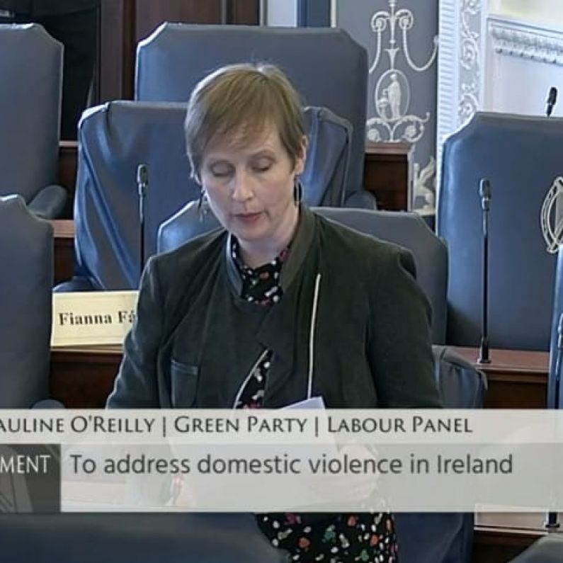 City-based Senator raises domestic violence 'epidemic' in Seanad