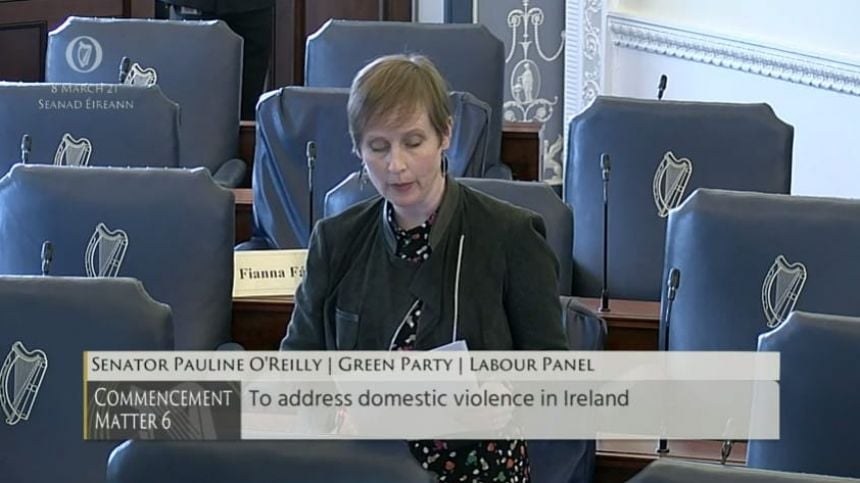 City-based Senator raises domestic violence 'epidemic' in Seanad