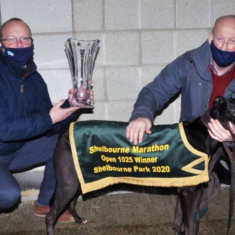 GREYHOUND RACING: 'Over The Line' Special - Sean Mullins and Ollie Curtin