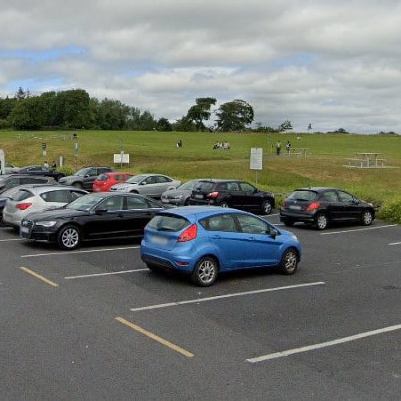 Demand for An Bord Pleanala to "get finger out" over Renville sports complex