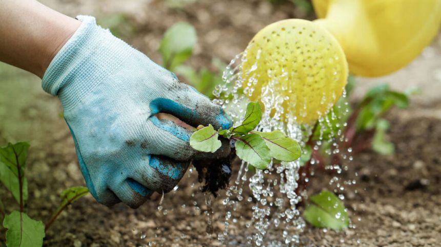 Galway public urged to reduce water usage as supply under pressure