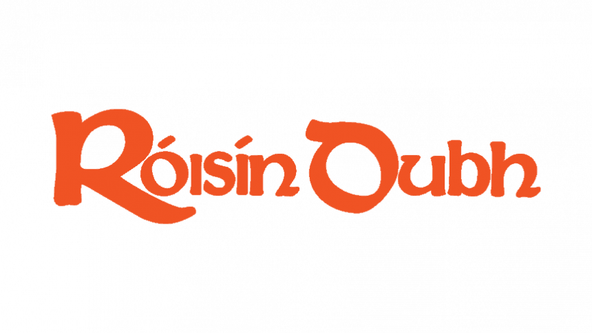 Minister Martin approves pilot concert at Róisín Dubh in the city