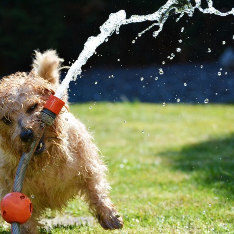 Heatwave to end today as thunderstorms expected in South and West