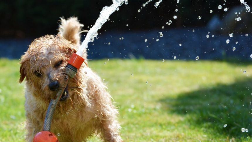 Heatwave to end today as thunderstorms expected in South and West