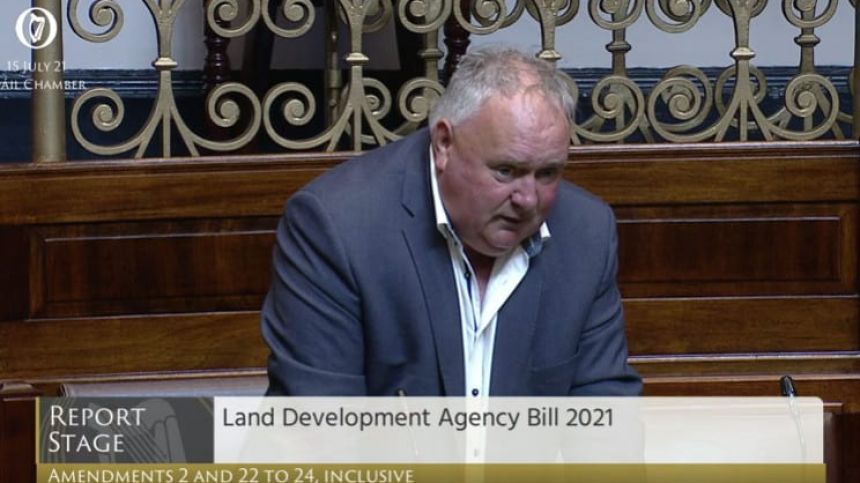 Seanad hears Ballinasloe has history of "very environmentally damaging" developments