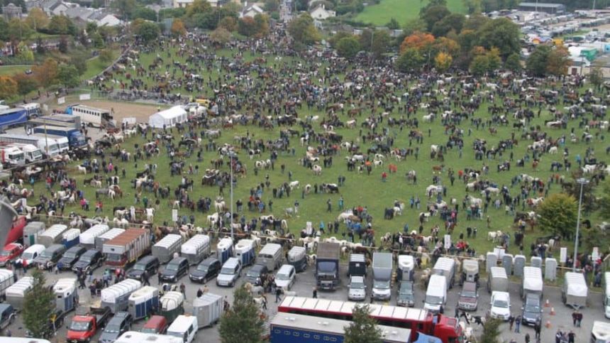 Ballinasloe Horse Fair officially cancelled for this year