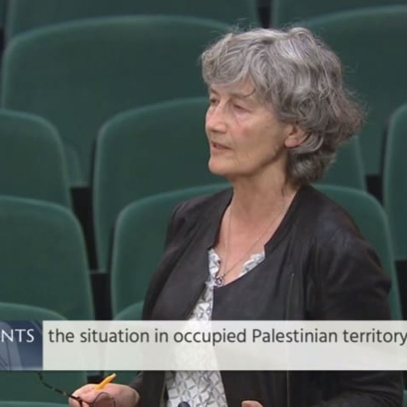 Galway TD tells Dáil Ireland should "speak out and lead the way" in condemning Israel