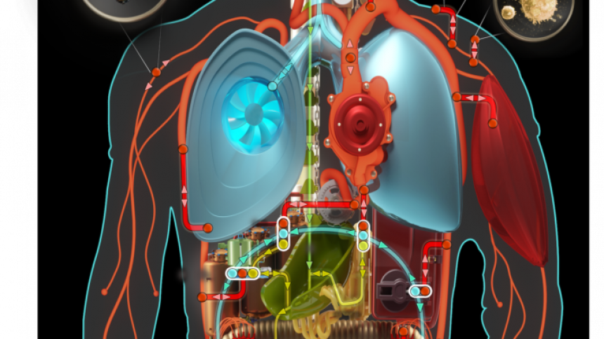 NUI Galway scientists use avatars in innovative diabetes research