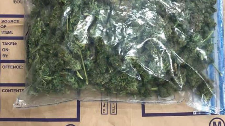 Gardaí seize almost €19,000 worth of suspected cannabis in Gort