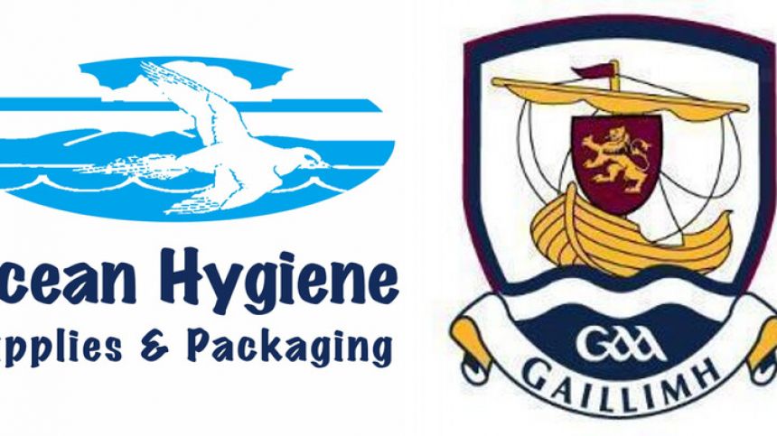 Ocean Hygiene Supplies & Packaging Hurling Feile Semi-Final Results