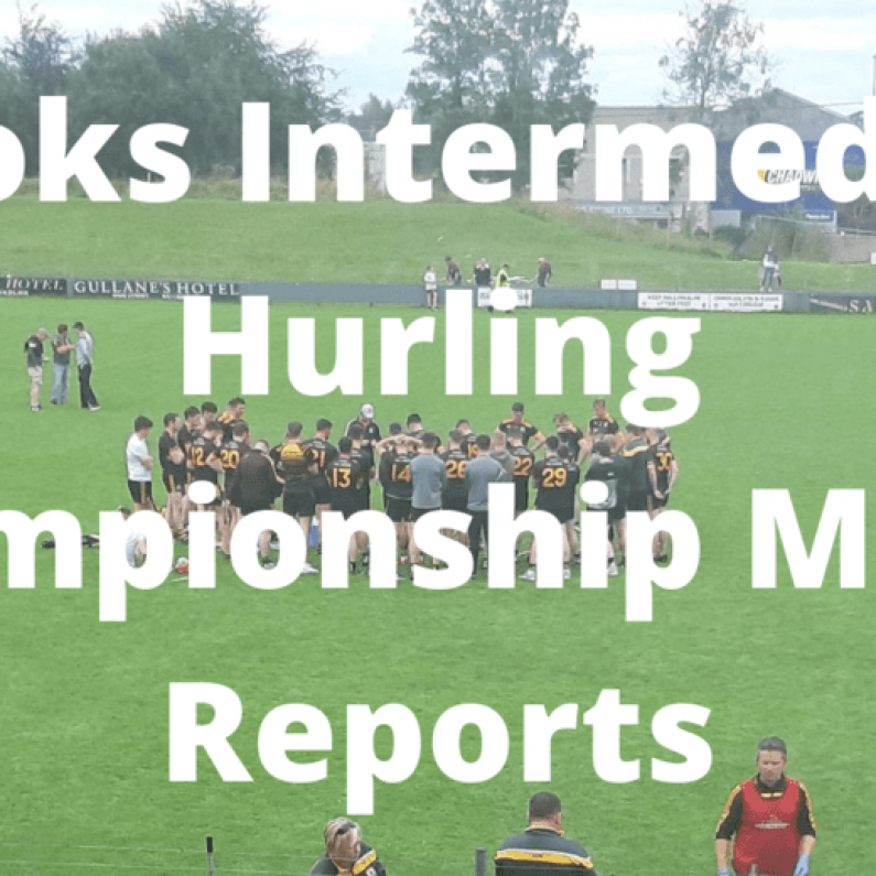 HURLING: Brooks Intermediate Championship Results and Reports (25th-26th September 2021)