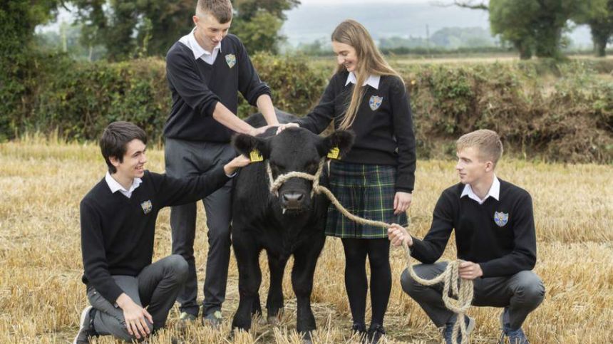 Students from Holy Rosary College Mountbellew selected to rear five Angus calves in schools competition