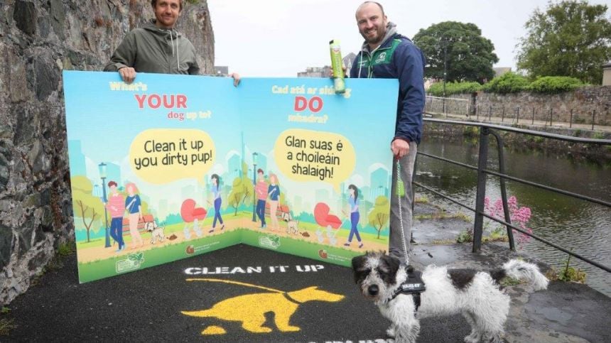 City council campaign achieves 60% reduction in dog fouling