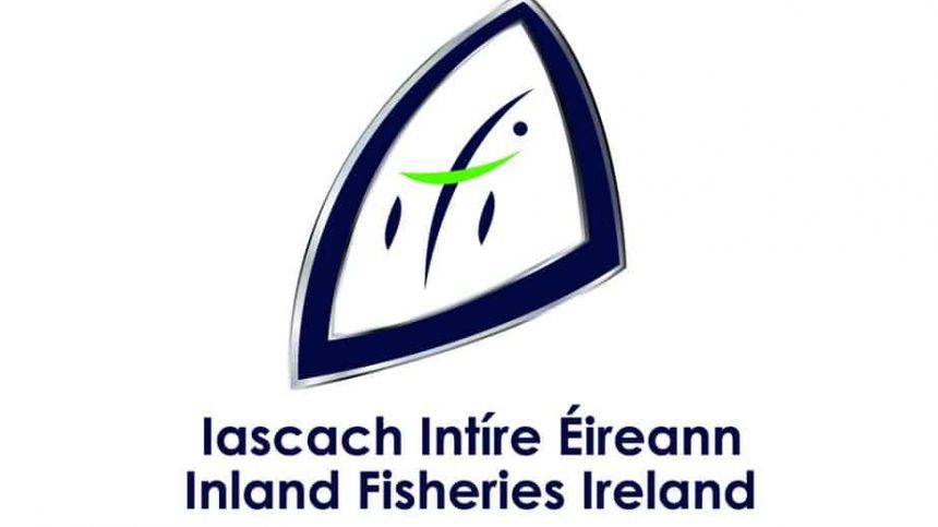 Inland Fisheries highlights concern over farmed salmon found in Connemara river