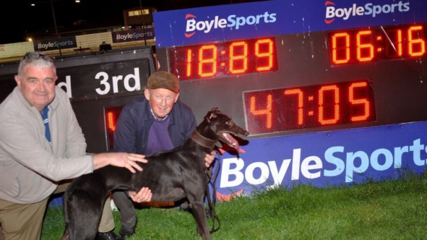 GREYHOUND RACING: Galway team set new track record at Shelbourne Park