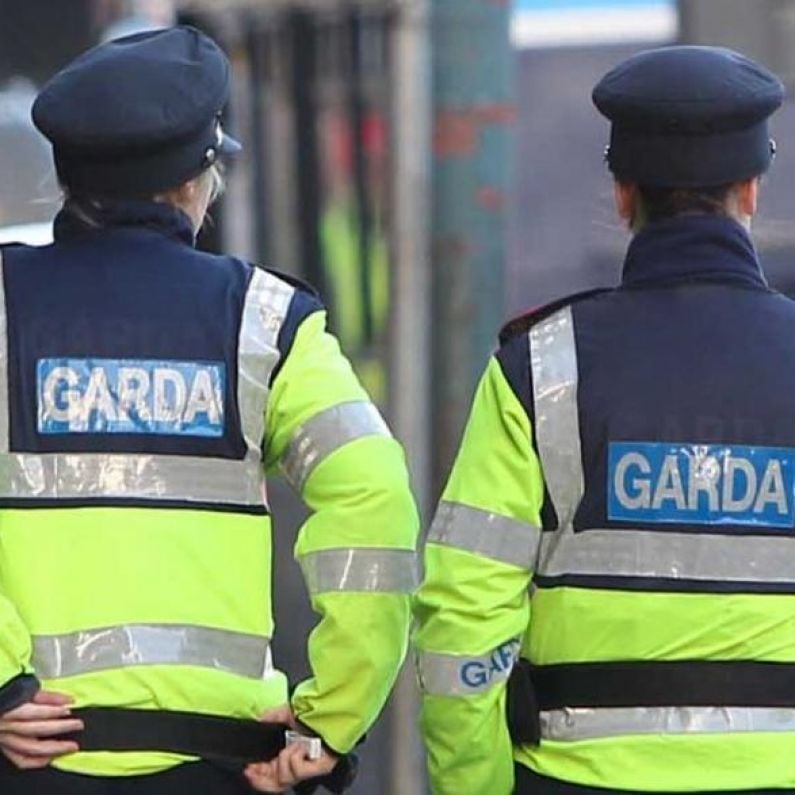 Ahead of a visit to Galway by the Garda Commissioner, councillors say criminals are keenly aware of the lack of Gardaí on the ground