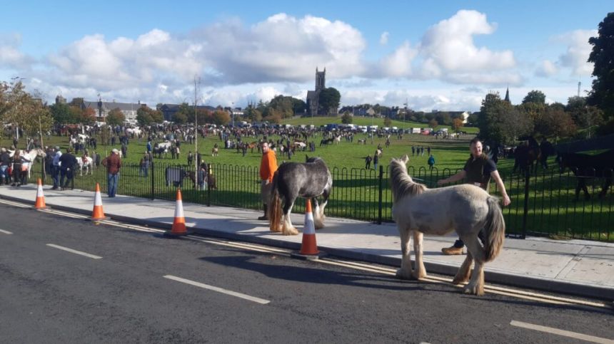 Gardai issue traffic warning as large crowds gather in Ballinasloe for cancelled Country Fair Day