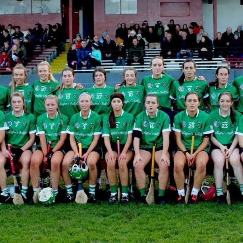 CAMOGIE: Sarsfields 2-10 Oranmore/Maree 0-7 (Senior Final Report, Reaction & Commentary)