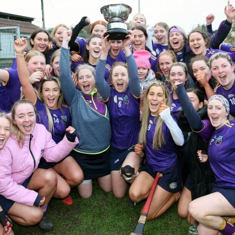 Kinvara win 2021 County Intermediate Camogie Title