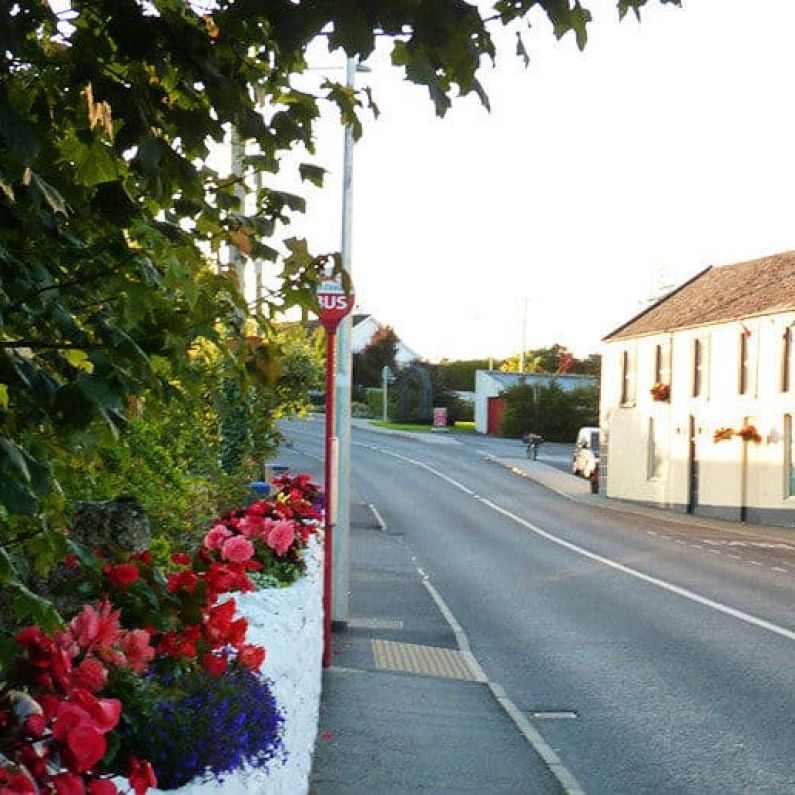 Towns and villages across Galway take awards at Tidy Towns 2021