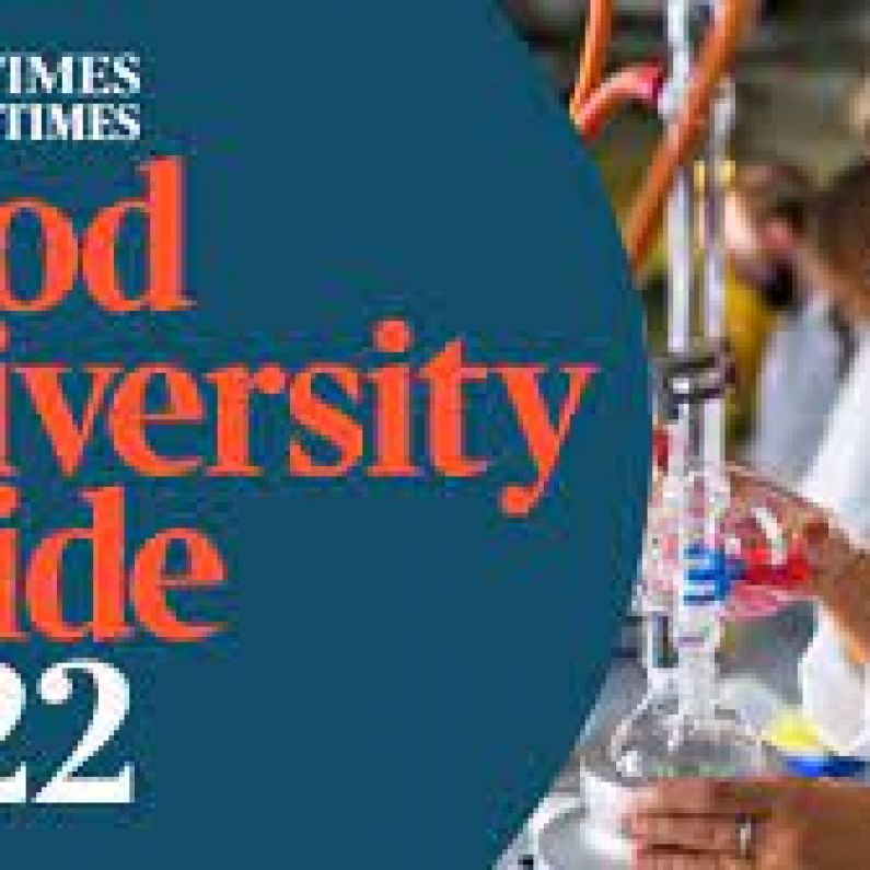 LISTEN: NUI Galway is named University of the year and GMIT is named Institute of technology of the year in Sunday Times Good University Guide