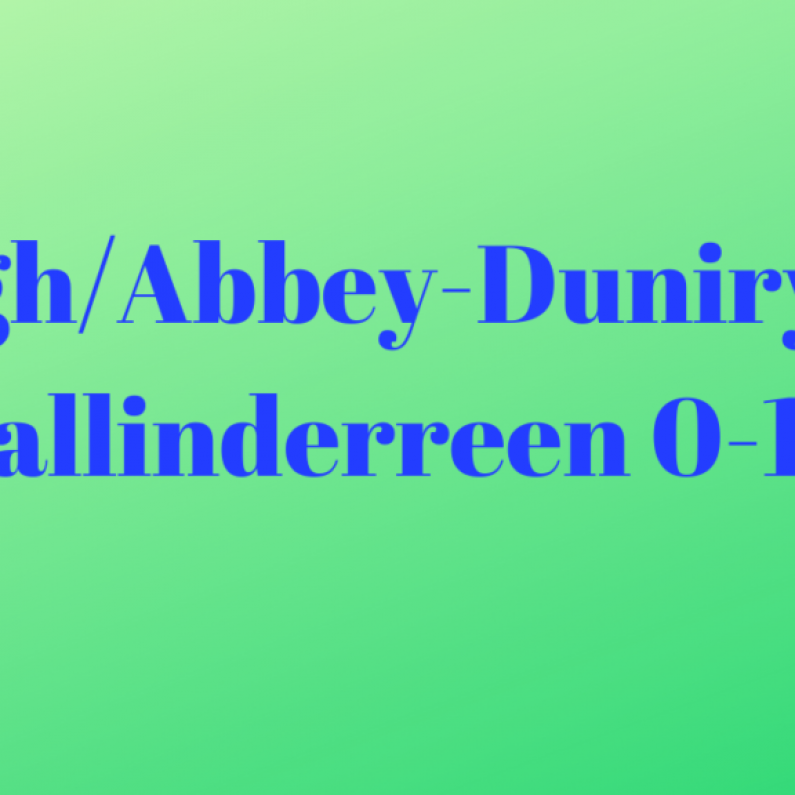 HURLING: Tynagh/Abbey-Duniry Secure Senior Championship Survival