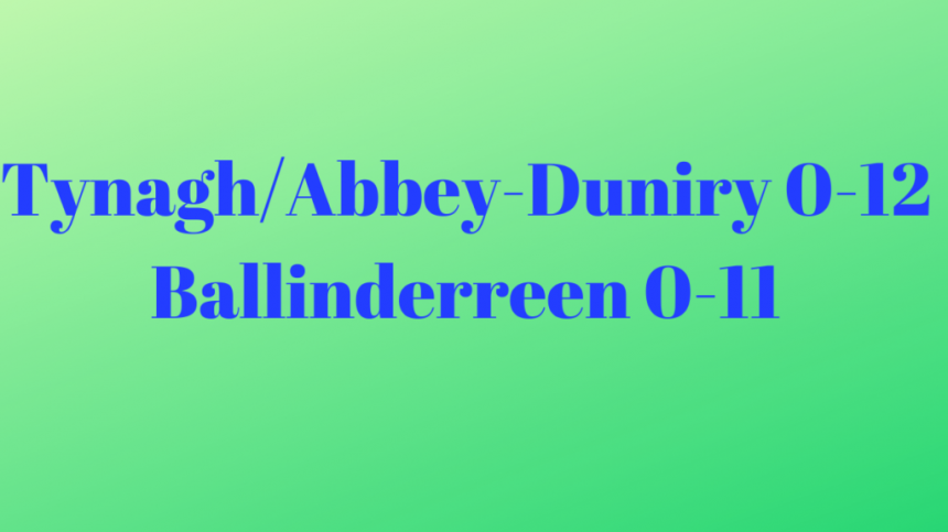 HURLING: Tynagh/Abbey-Duniry Secure Senior Championship Survival