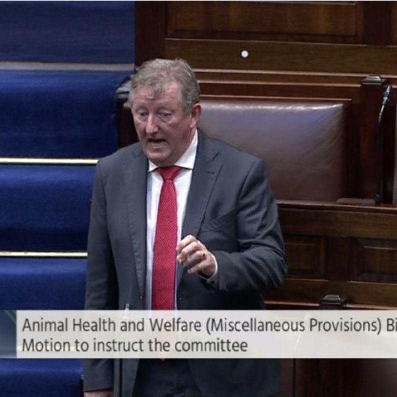 Galway TD urges Dáil to "rethink priorities" over opposition to pain relief for unborn babies