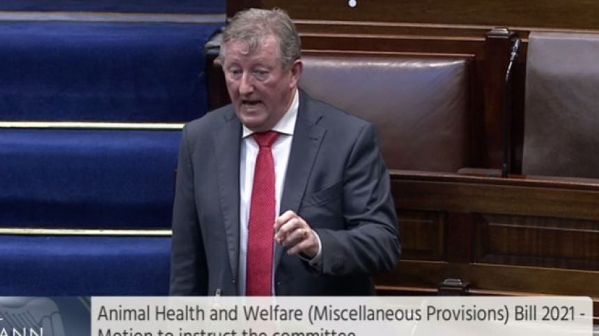 Galway TD urges Dáil to "rethink priorities" over opposition to pain relief for unborn babies